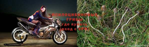 бутират Армянск
