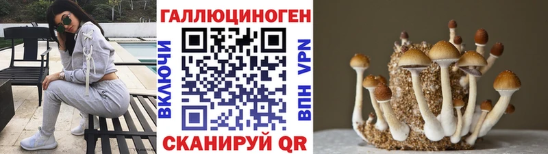 blacksprut ТОР  Калач-на-Дону  Галлюциногенные грибы GOLDEN TEACHER  как найти закладки 